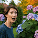 non perdere le tue ortensie! hai tempo fino a metà novembre per prendertene cura e assicurarti una fioritura rigogliosa. scopri come fare.