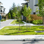 scopri un terreno nel quartiere che potrebbe valere fino a 40.000 dollari. informazioni dettagliate e opportunità da non perdere!